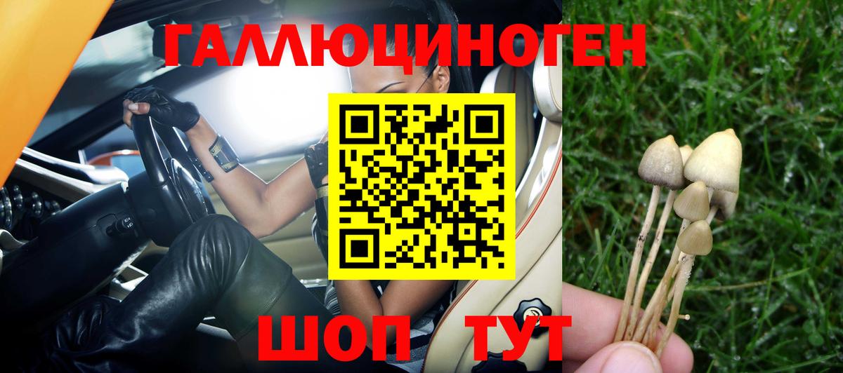 Псилоцибиновые грибы GOLDEN TEACHER Нефтекумск