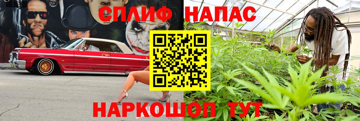 Бошки марихуана LSD WEED  Бошки марихуана семена  Нефтекумск  Конопля марихуана  Вход с VPN 